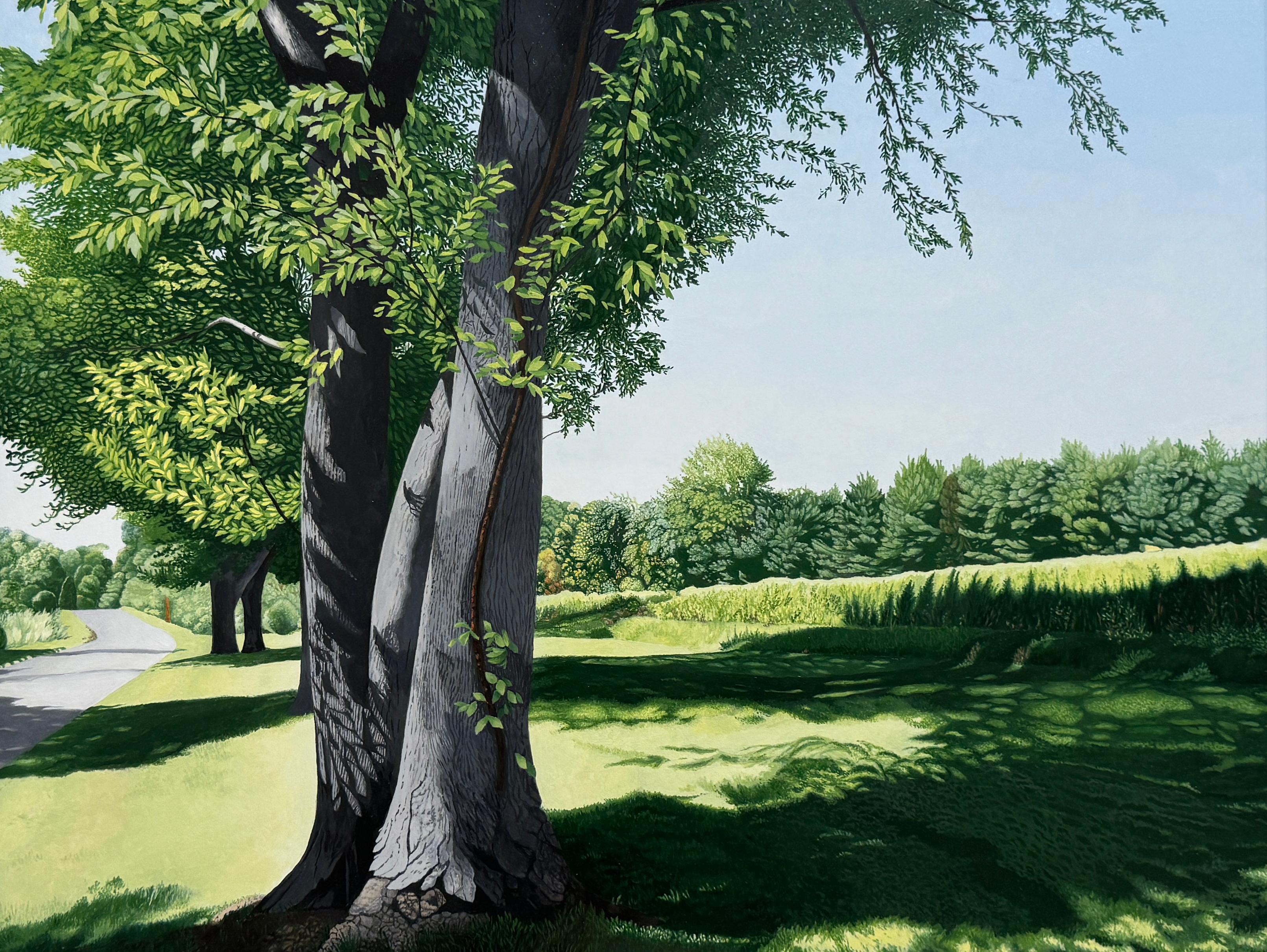 Landscape Painting Anita Mazzucca - EN RETOUR DU dessinateur - Paysage / réalisme / arbres / vert