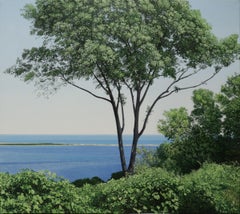 SANDY HOOK, eau et arbres, paysage, nature, réalisme