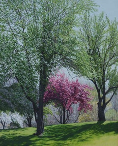 SPRING IN LONG STREET PARK, Contemporary Landscape, Oil Painting, Trees, Green