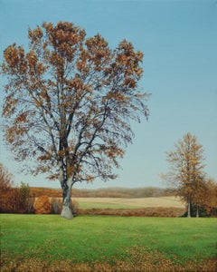 THE BATTLEGROUND IN AUTUMN, Contemporary Landscape Oil Painting, Tree, Park