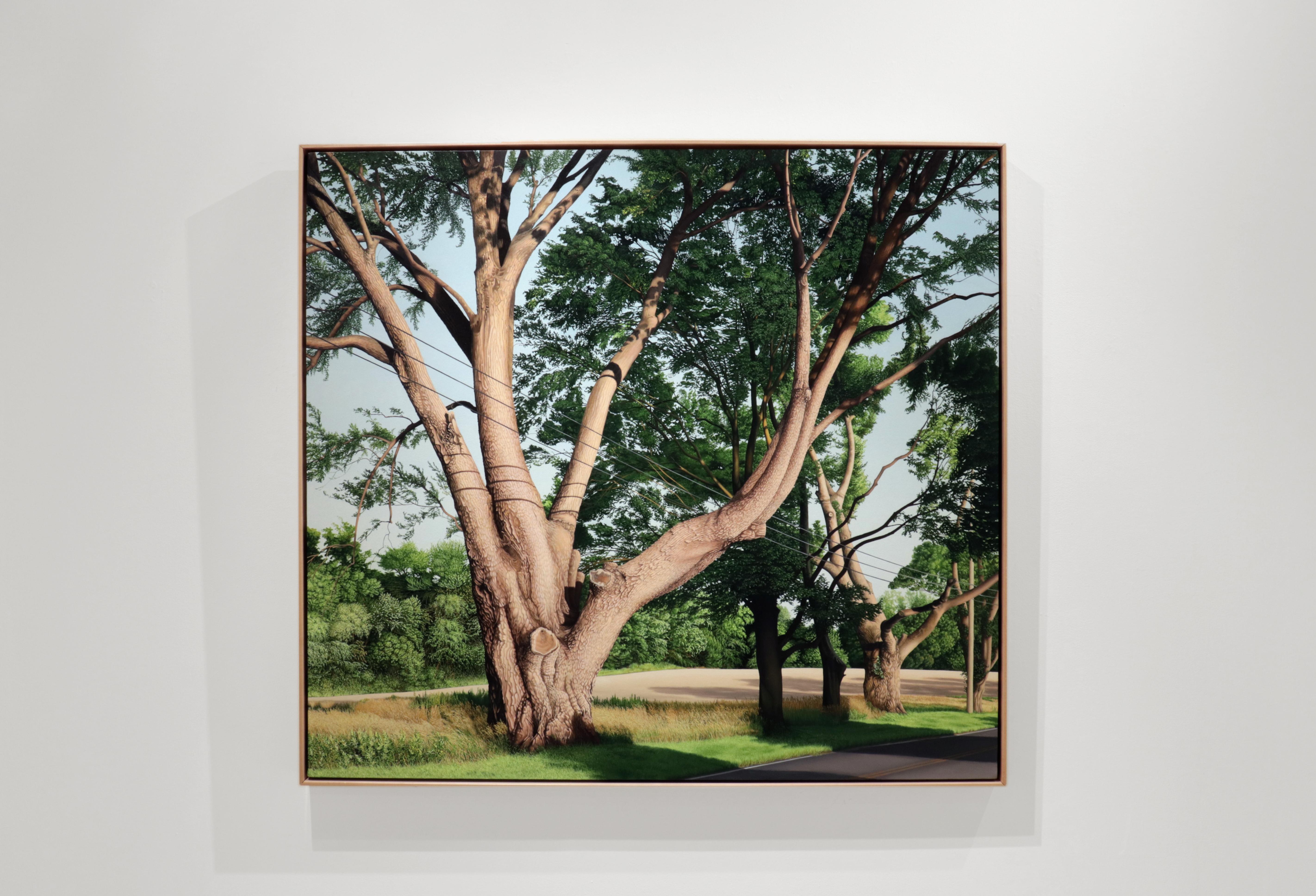TRIMMED TREES, Fotorealismus, Baumlinie, Baumrinde, grüne Landschaft, Blattwerk – Painting von Anita Mazzucca