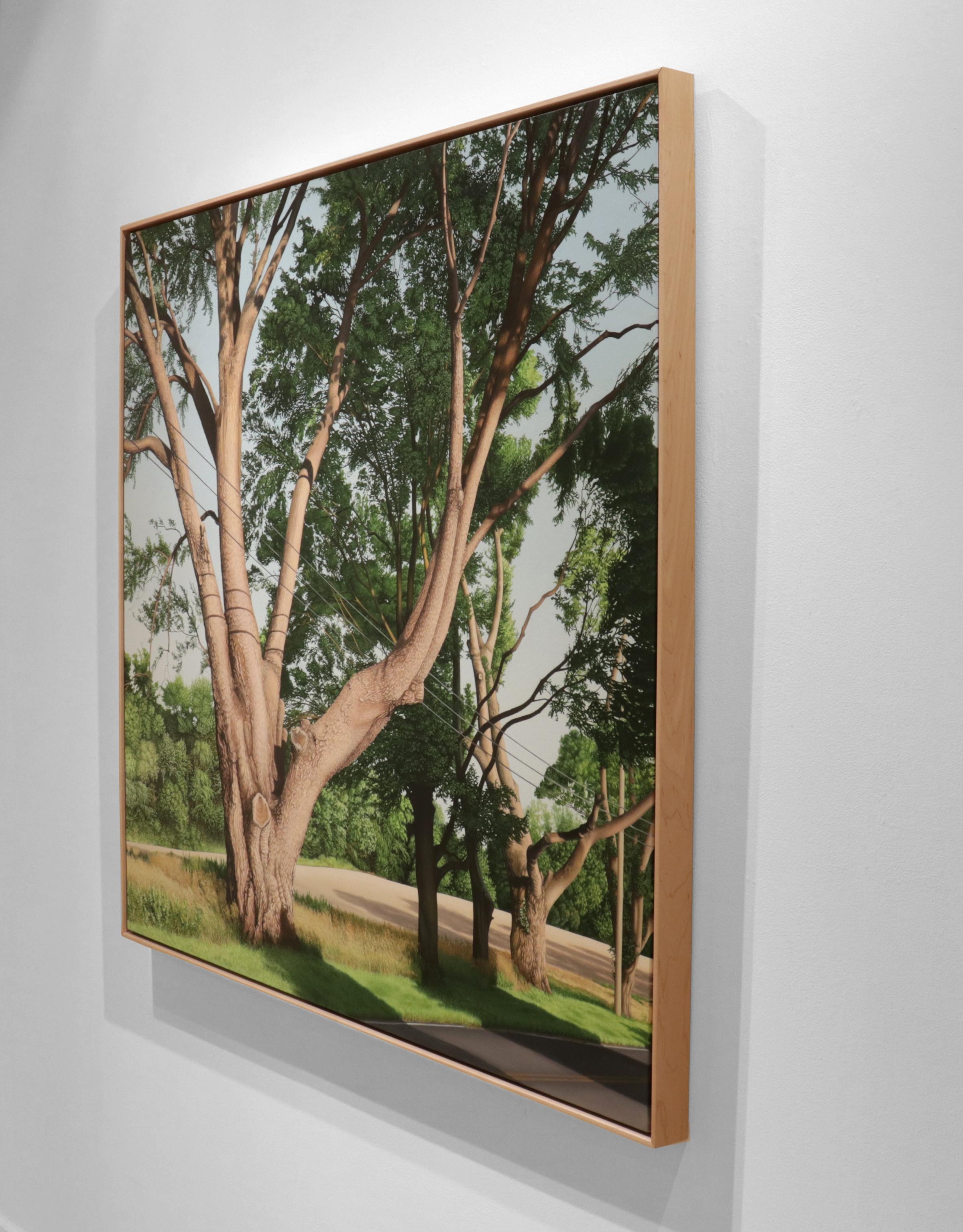 ALBERI TRAMMATI - Paesaggio contemporaneo / Realismo / Scena naturale - Painting Contemporaneo di Anita Mazzucca