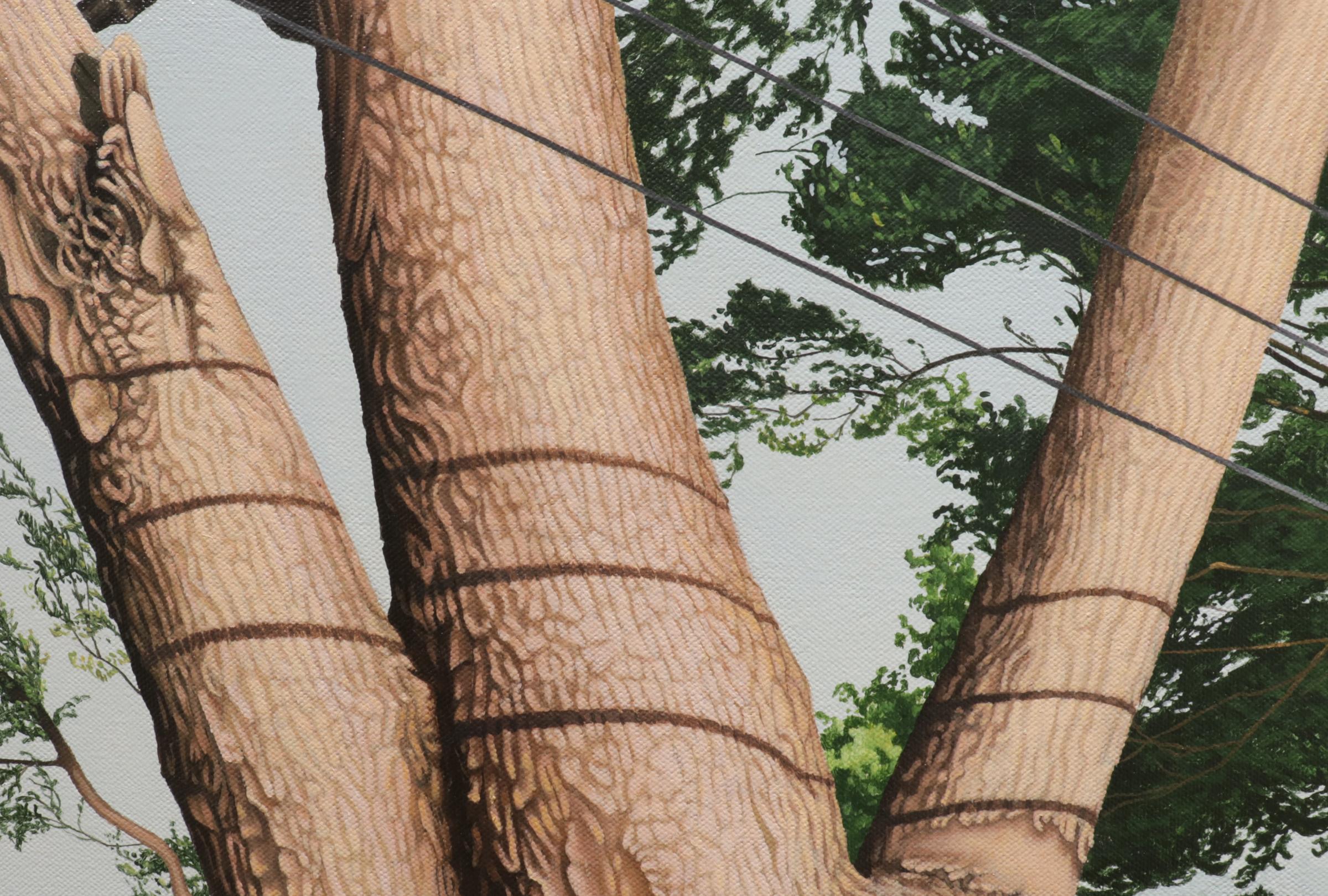 TRIMmed Treees, photoréalisme, ligne d'arbre, liège d'arbre, paysage vert, feuillage - Noir Landscape Painting par Anita Mazzucca