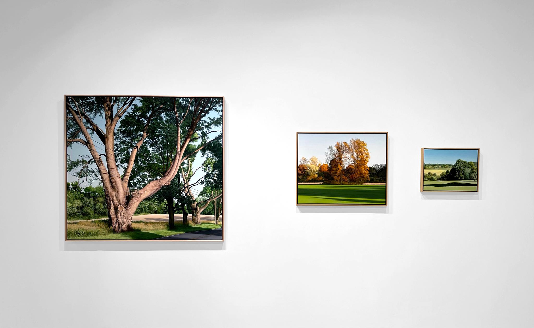 TRIMmed Treees, photoréalisme, ligne d'arbre, liège d'arbre, paysage vert, feuillage en vente 2