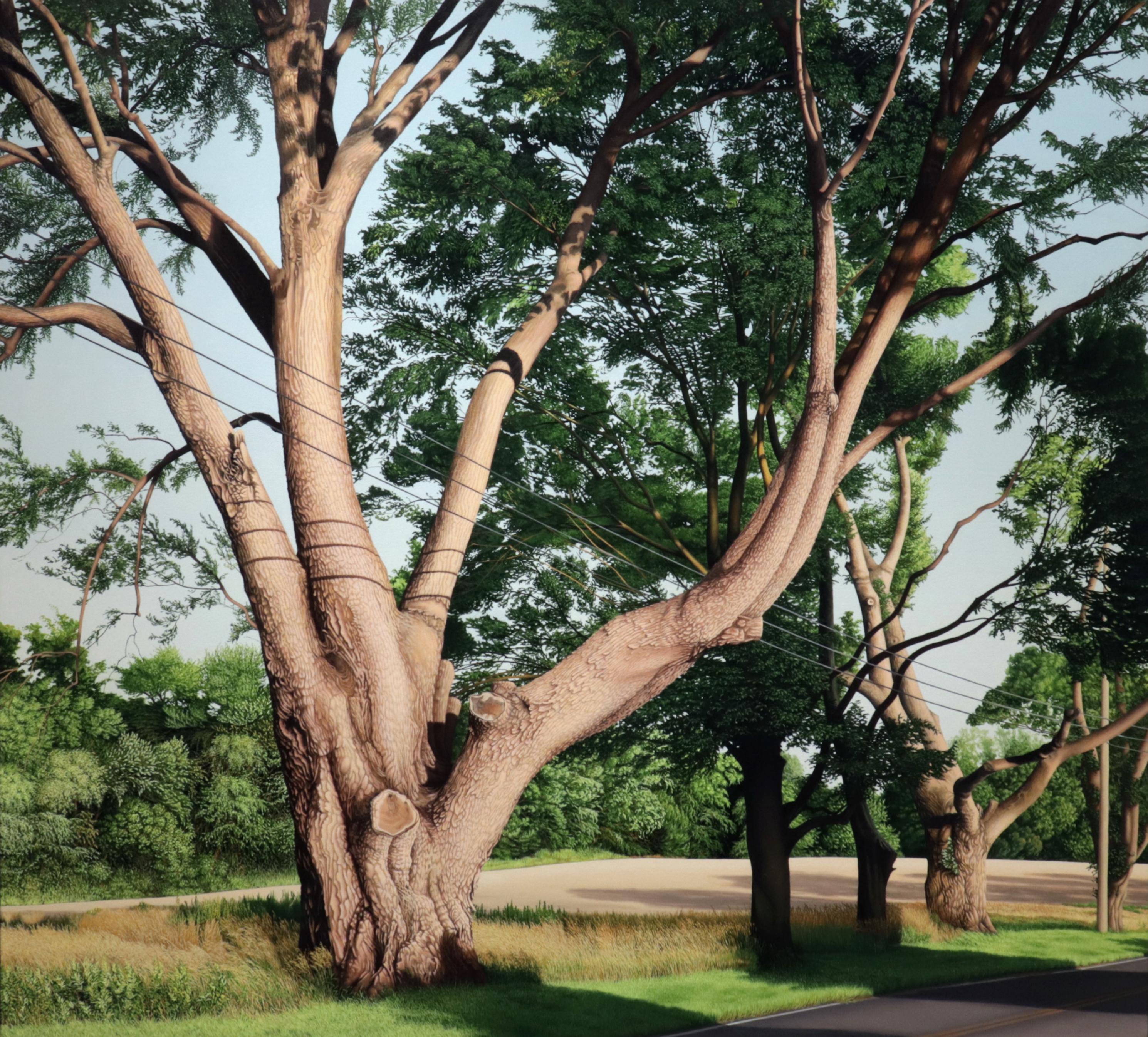 Anita Mazzucca Landscape Painting – TRIMMED TREES, Fotorealismus, Baumlinie, Baumrinde, grüne Landschaft, Blattwerk