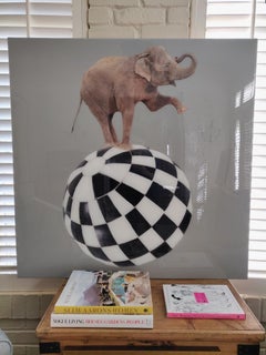 Balancing Act, contemporary mixed media photograph, elephant on checkered ball