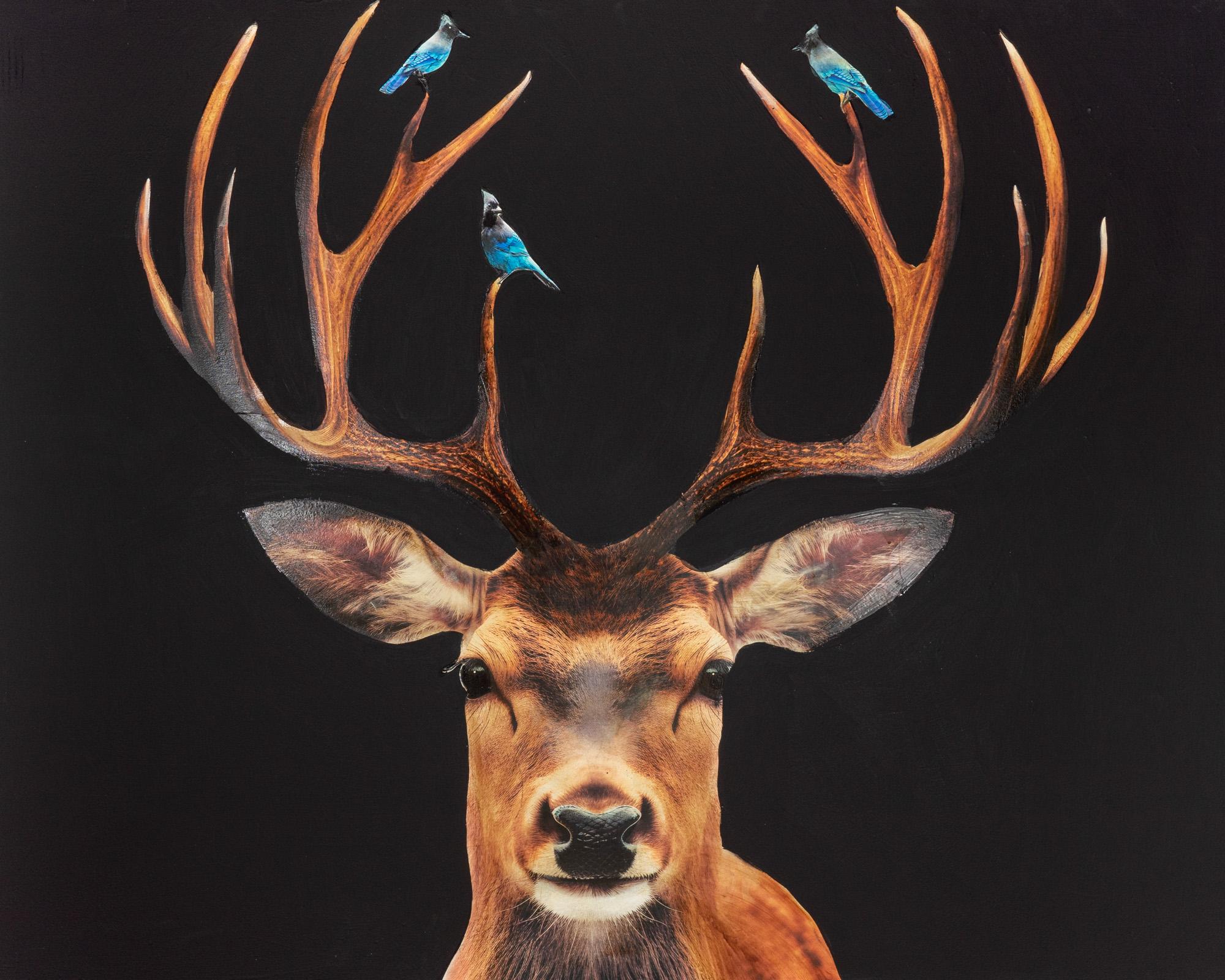 Anke Schofield Figurative Painting – "Blaue Vögel" Zeitgenössische Collage aus Hirschen und Vögeln Gemischte Medien auf Platte 