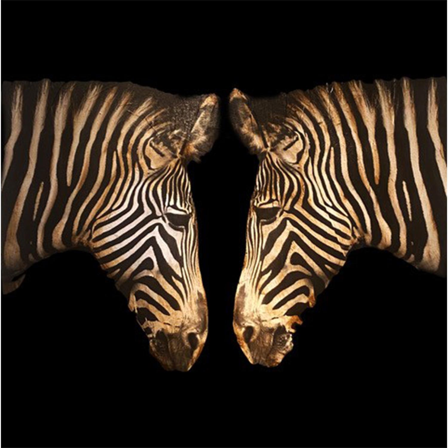 Double Zebras - Mixed Media Art by Anke Schofield