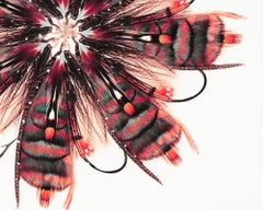 "Fly 4" Contemporary Fishing Lure Photocollage Mixed Media on Panel