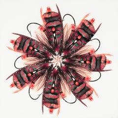 "Fly 4" Contemporary Fishing Lure Photocollage Mixed Media on Panel