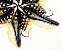 "Fly 5" Contemporary Fishing Lure Photocollage Mixed Media on Panel