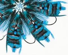 "Fly 8" Contemporary Fishing Lure Photocollage Mixed Media on Panel