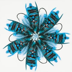 "Fly 8" Contemporary Fishing Lure Photocollage Mixed Media on Panel