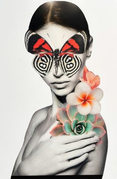"Scharlachrote Flügel" Contemporary Figurative Collage Mixed Media Portrait on Panel
