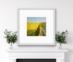 Sunshine Fields by Ann Burnham, Limited edition print, contemporary art