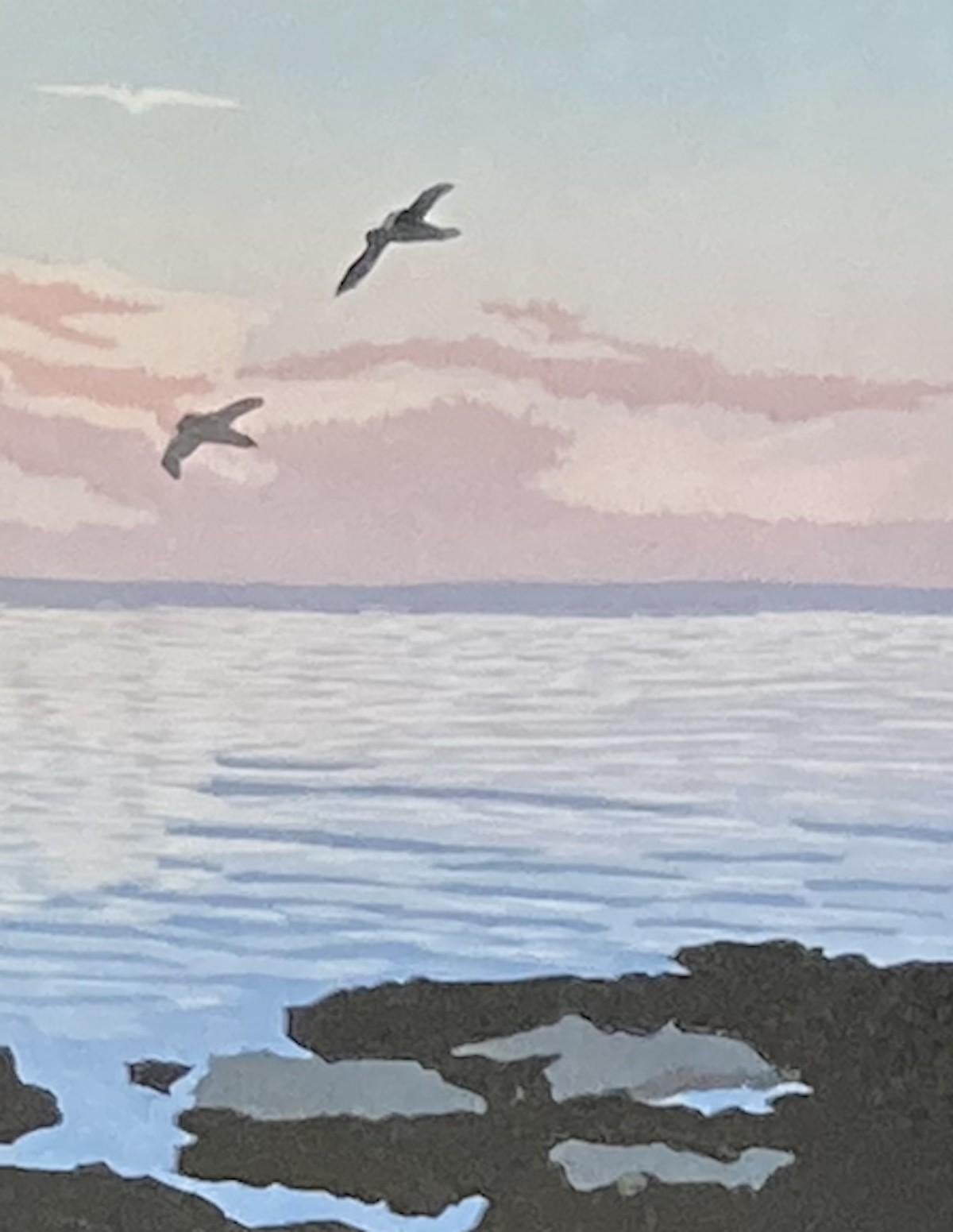 Gulls at Sunset, Ann Burnham, Limited edition print, Seascape and coastal 2022 For Sale 4
