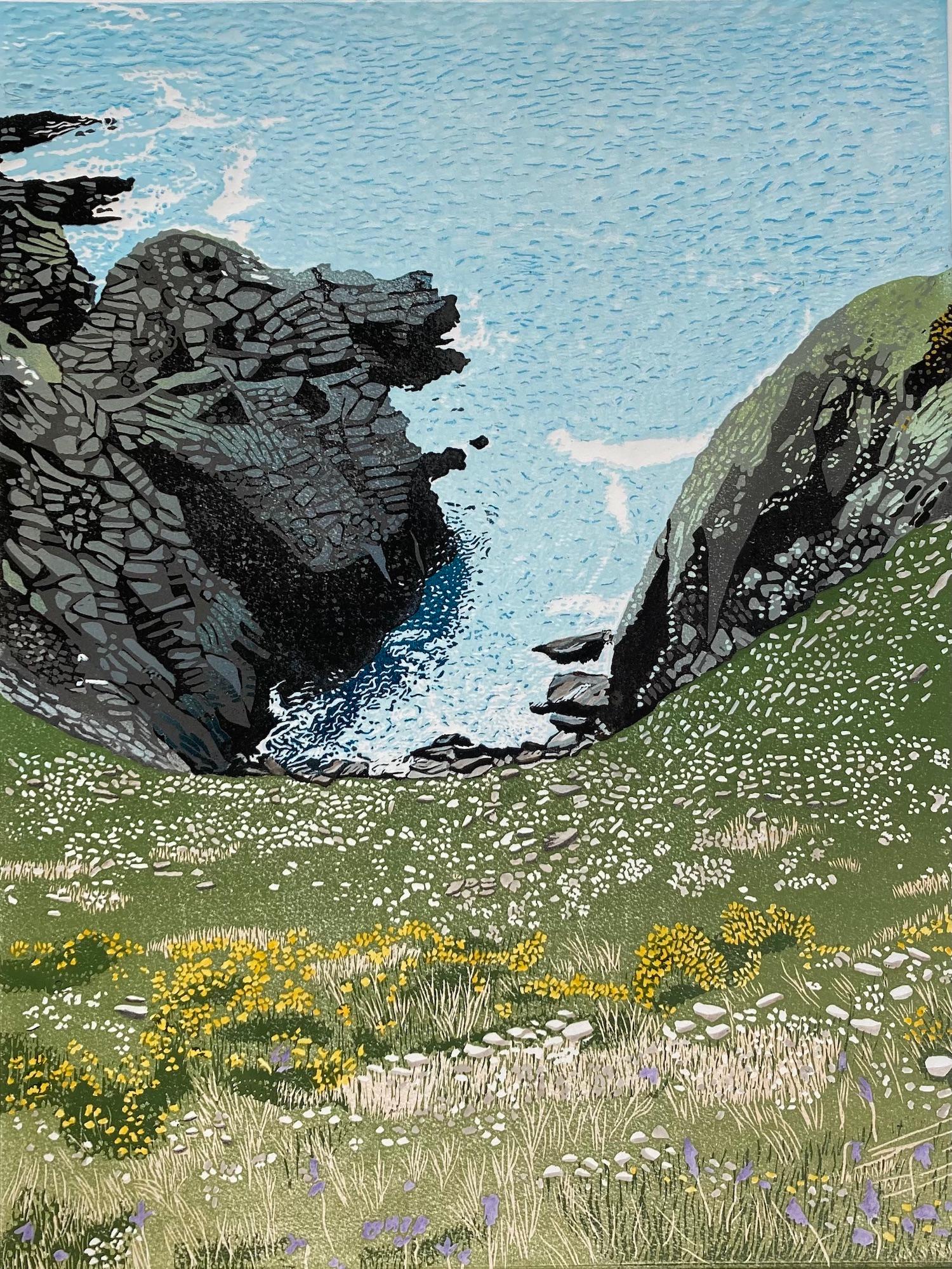 Cliff Edge, Ann Burnham, Limited edition print, Landscape art, Seascape 2022 For Sale 2