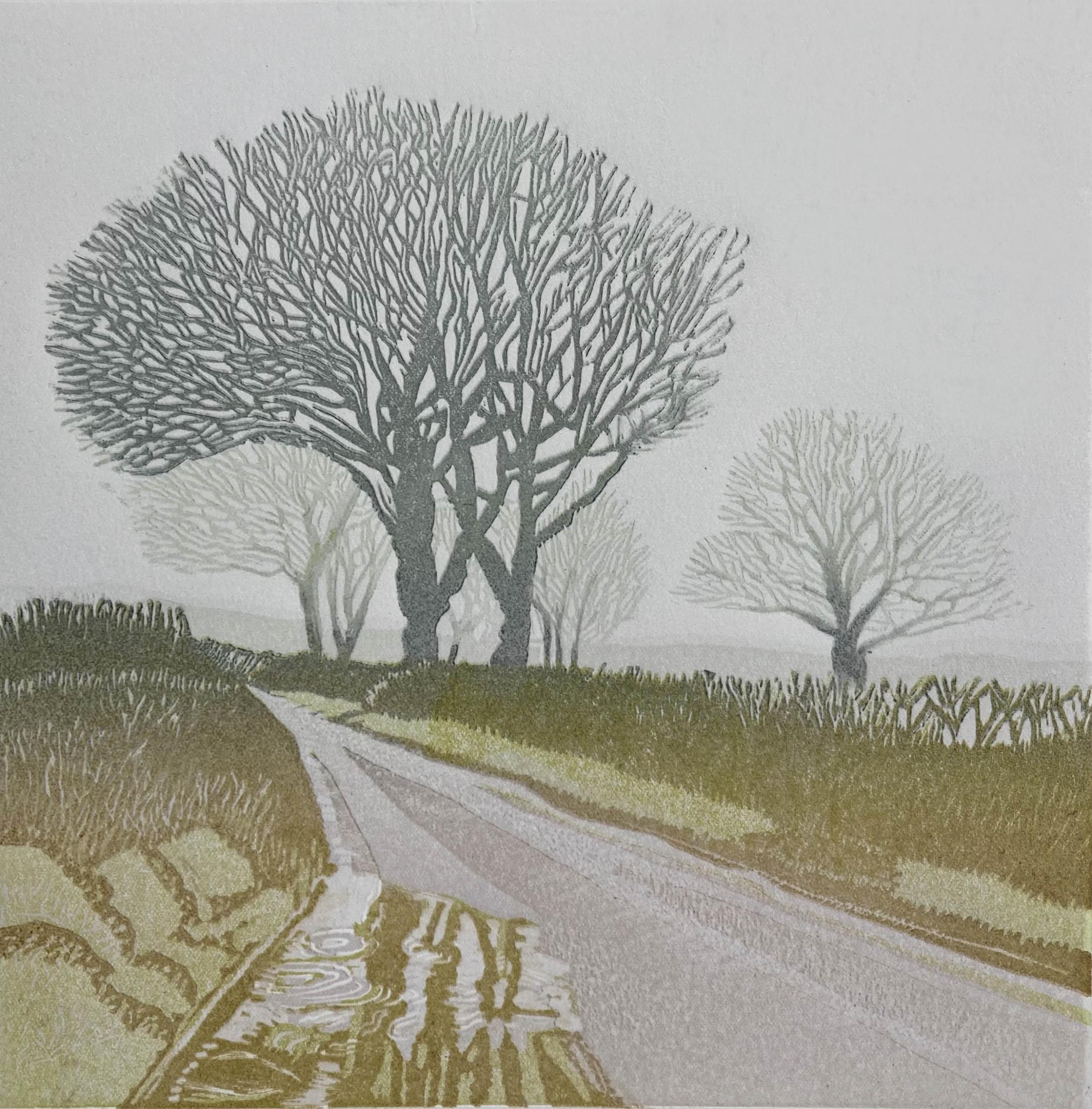 Ann Burnham Landscape Print - Trees in the Mist