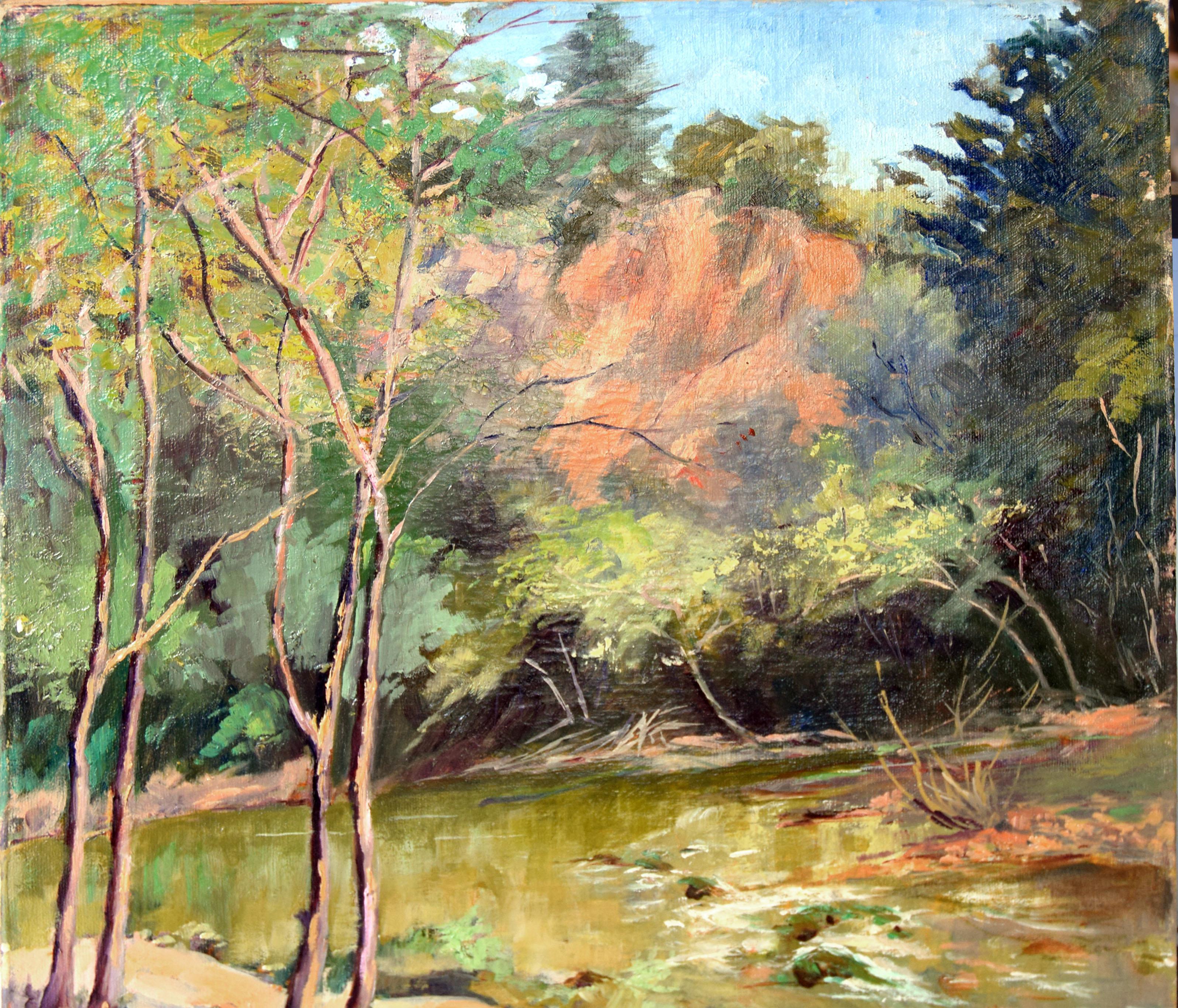 Santa Cruz Mountains & Stream Landschaft in Öl auf Leinwand aus der Mitte des Jahrhunderts – Painting von Ann Fuson
