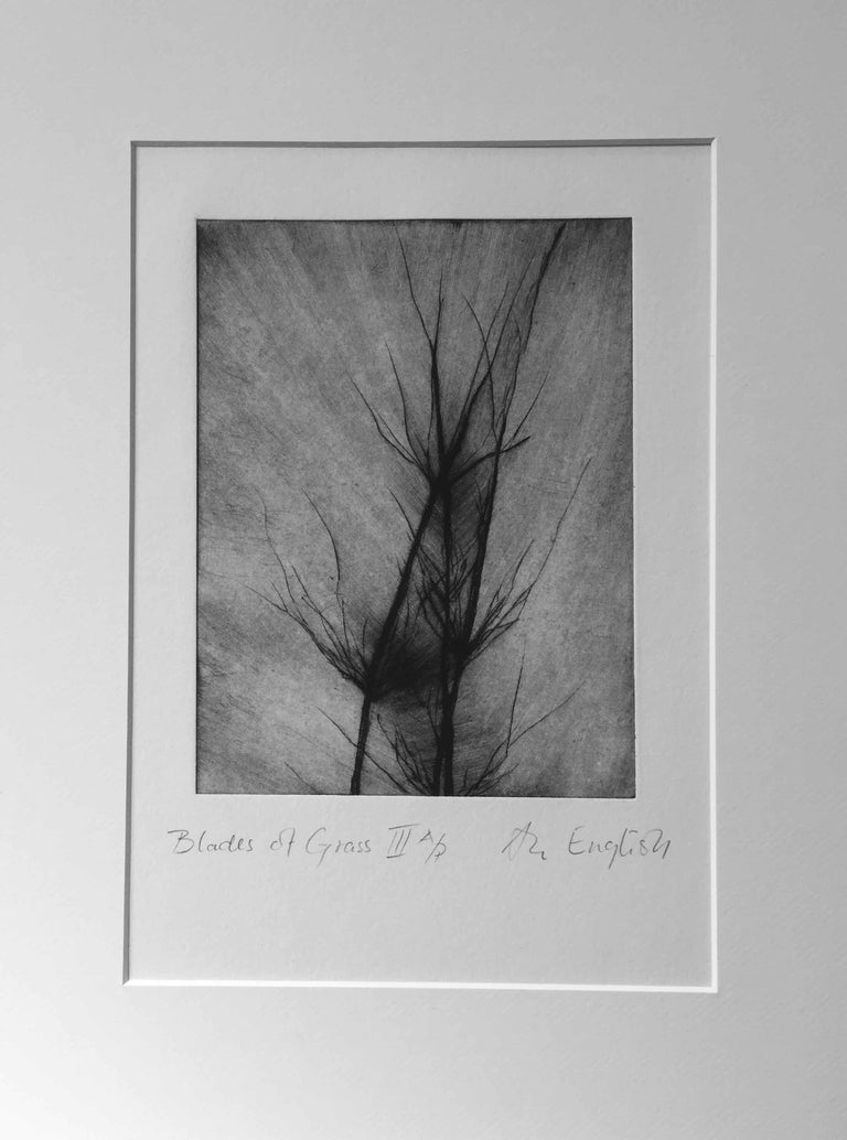 Ann Helen English Blades of Grass I DryPoint Etching by AnnHelen