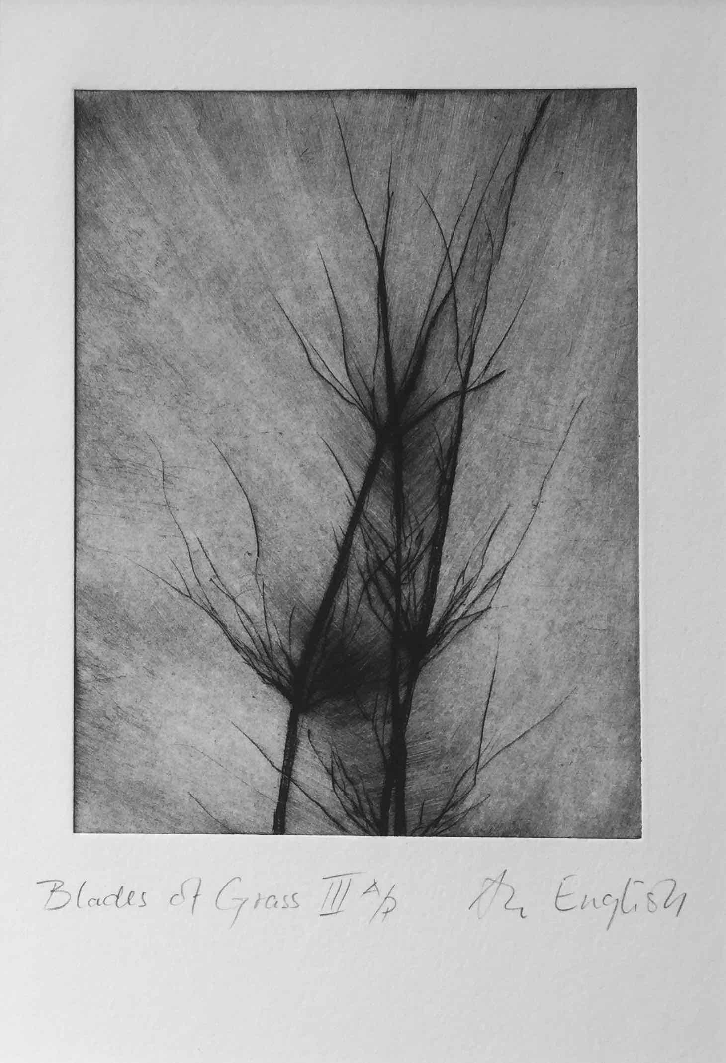 Blades of Grass I: Dry-Point Etching by Ann-Helen English