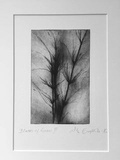 Blades of Grass II: Dry-Point Etching by Ann-Helen English