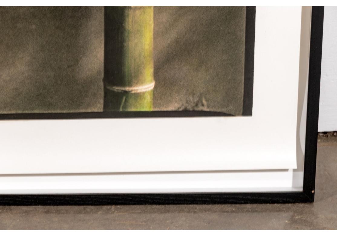 Organic Modern Ann Stautberg (Am. B. 1949) Monumental Photographic Work “4.09.02, A.M. Shanghai For Sale