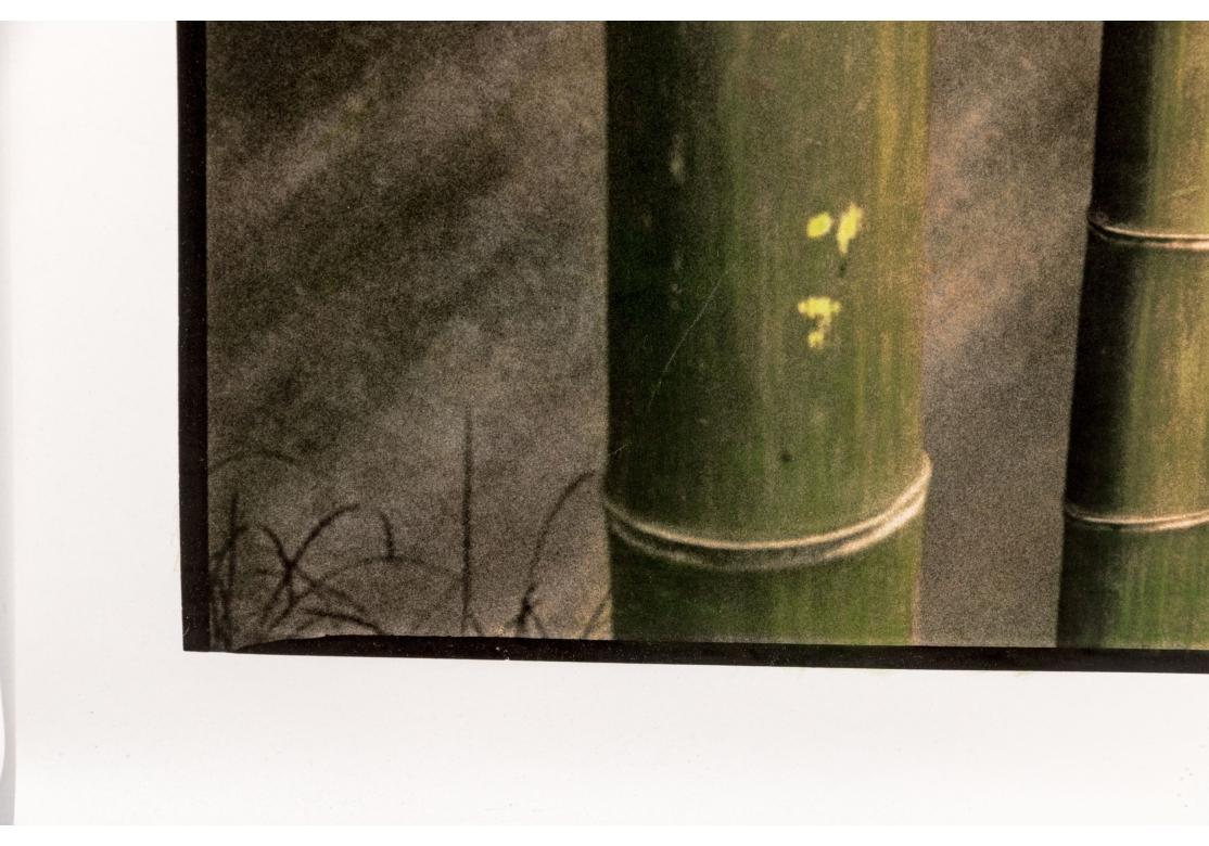 Ann Stautberg (Am. B. 1949) Monumental Photographic Work “4.09.02, A.M. Shanghai In Good Condition For Sale In Bridgeport, CT