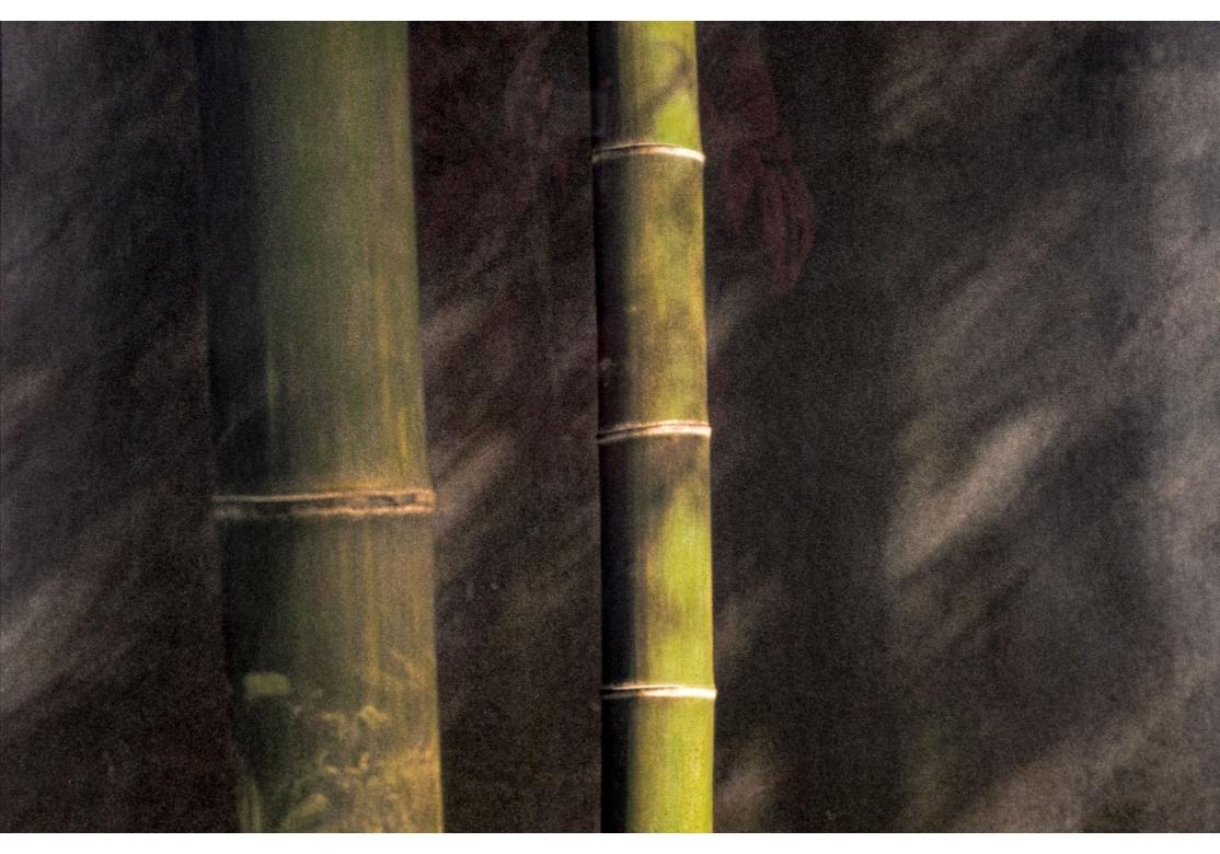 Acrylic Ann Stautberg (Am. B. 1949) Monumental Photographic Work “4.09.02, A.M. Shanghai For Sale