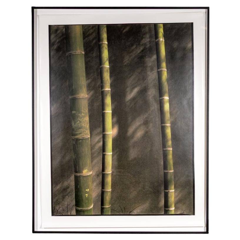 Ann Stautberg (Am. B. 1949) Monumental Photographic Work “4.09.02, A.M. Shanghai For Sale