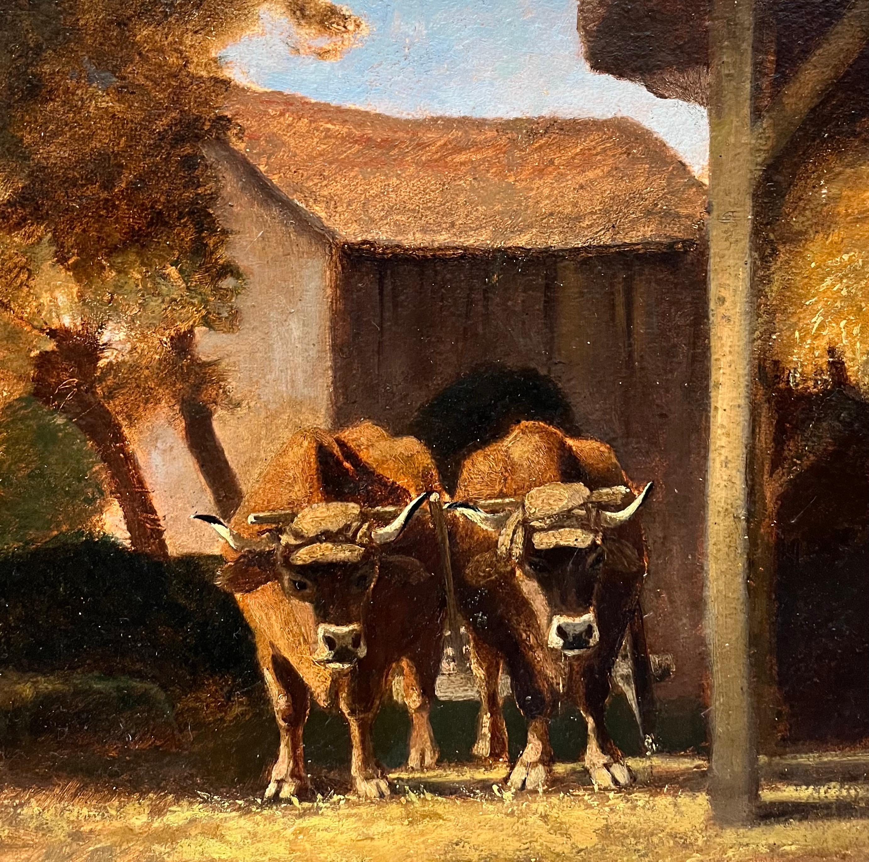 Oxen par Anna Abys-Lotz - Huile sur toile/Board - 43x30 cm - Réalisme Painting par Anna ABYS-LOTZ