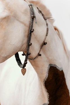 A Modern Princess (of India) (Equine Art, Horse, Marwari, Rare Breed)