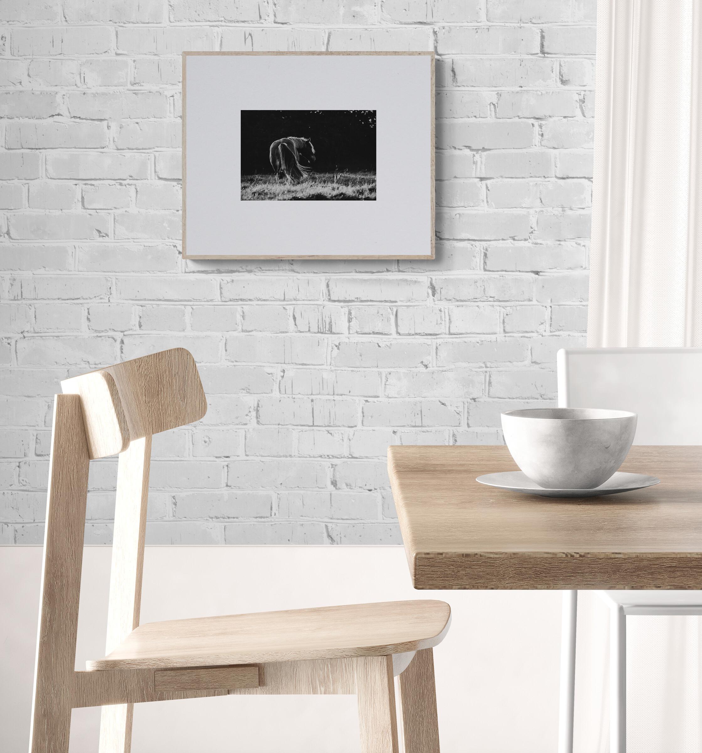 Anna Archinger
Clockwise Motion (Equestrian Photography, Horse, Portrait, Monochrome)
Archival Pigment Print on Canson® Infinity Platine Fibre Rag
Year: 2025
Image Size: 7.79 x 11.7 in (19.8 x 29.7 cm) - printed with ample margin
Edition: