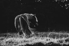 Fotografía figurativa en papel