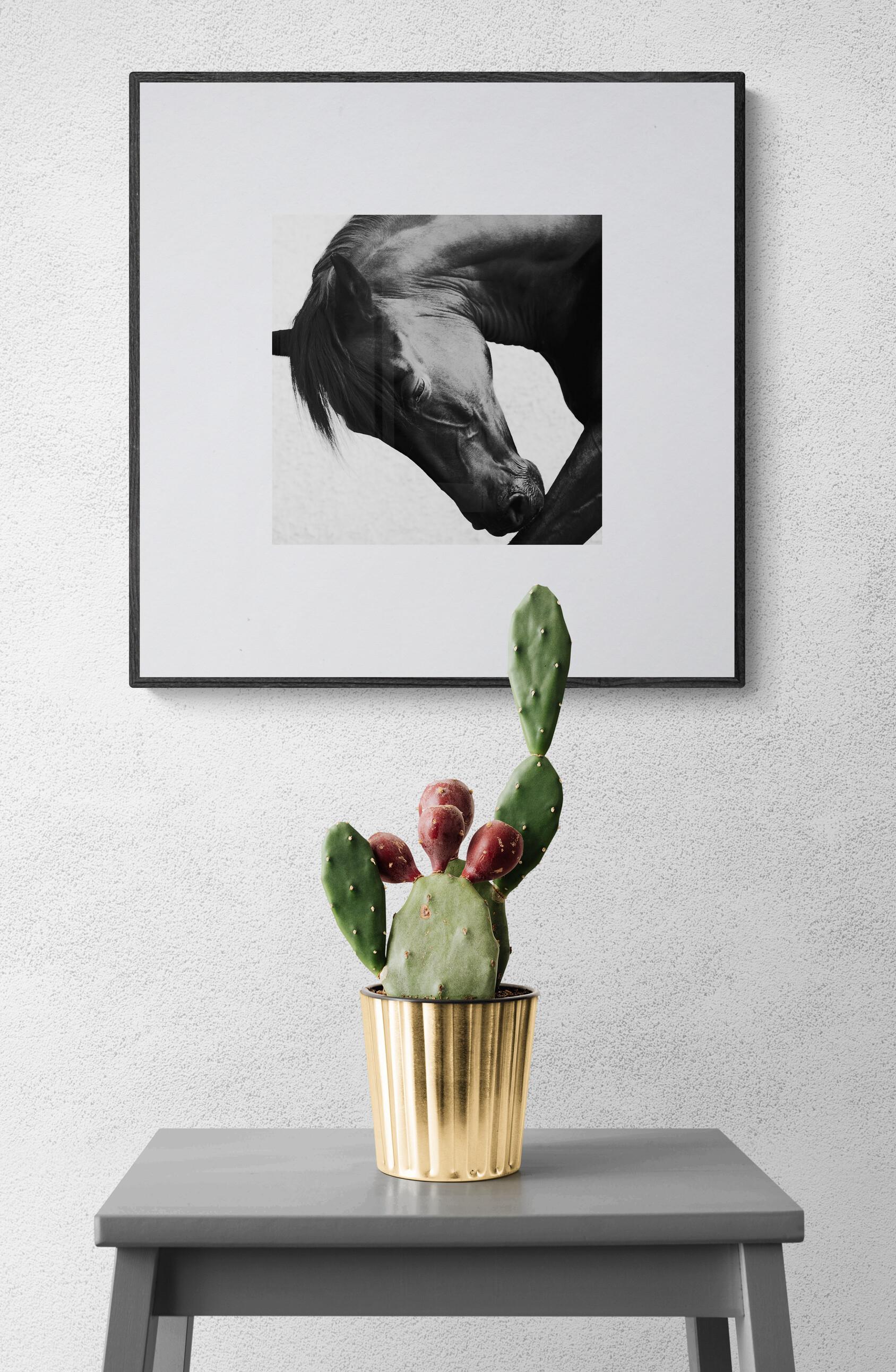 Anna Archinger
Onyx Grace 2.5 (Photographie équestre, Cheval, Portrait, Monochrome)
Impression pigmentaire d'archives sur Canson® Infinity Platine Fibre Rag
Année : 2025
Taille de l'image : 11.7 x 11.7 in (29.7 x 29.7 cm) - imprimée avec une grande