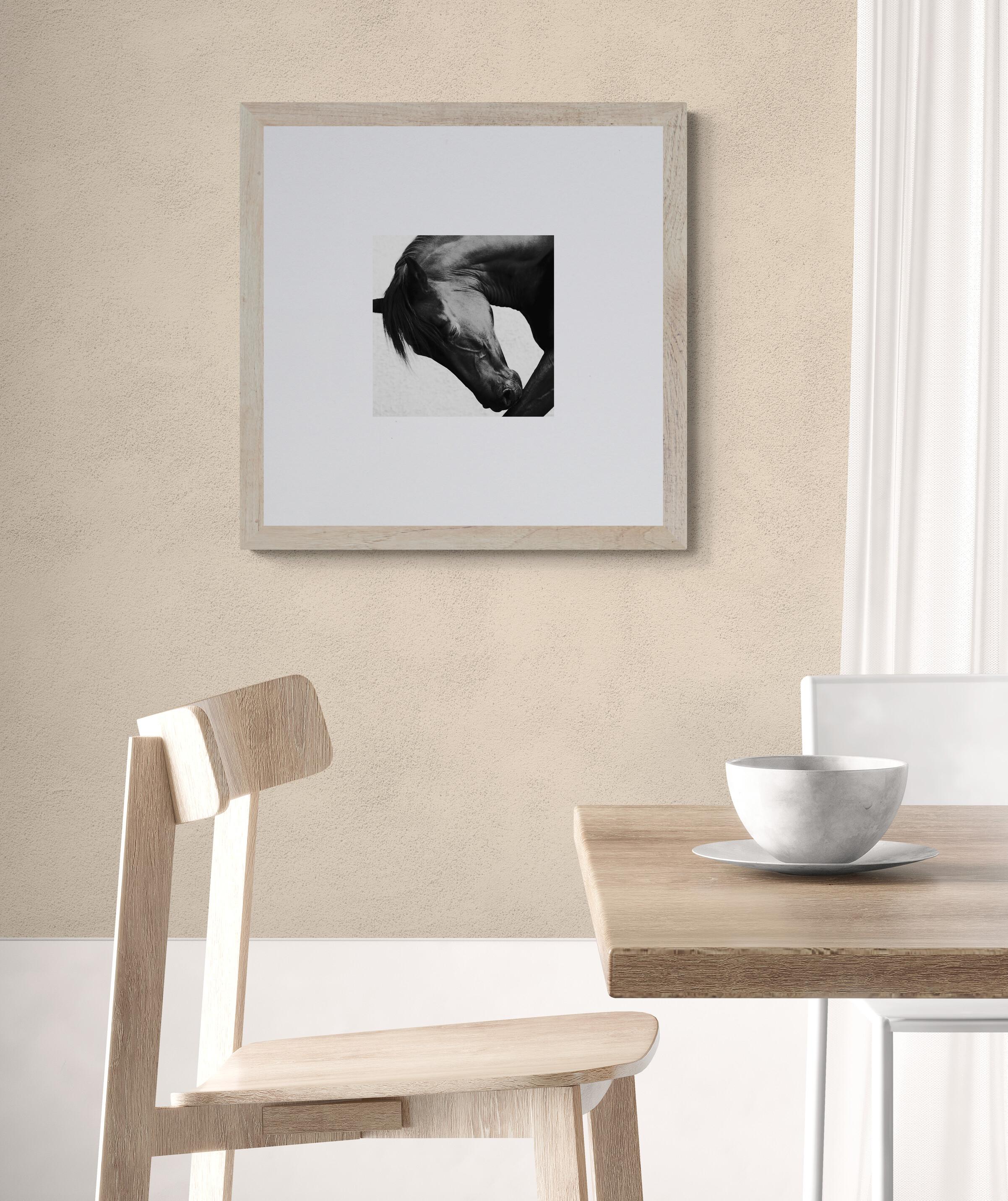 Onyx Grace 2.5 (Photographie équestre, Cheval, Portrait, Monochrome) en vente 1