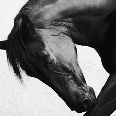 Photography