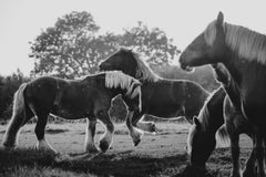 Black and White Photography