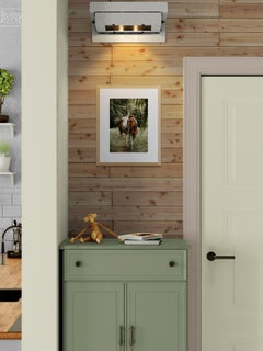 The Monsoon Wanderer (Equestrian Photography, Horse, Marwari, India, Rare Breed)