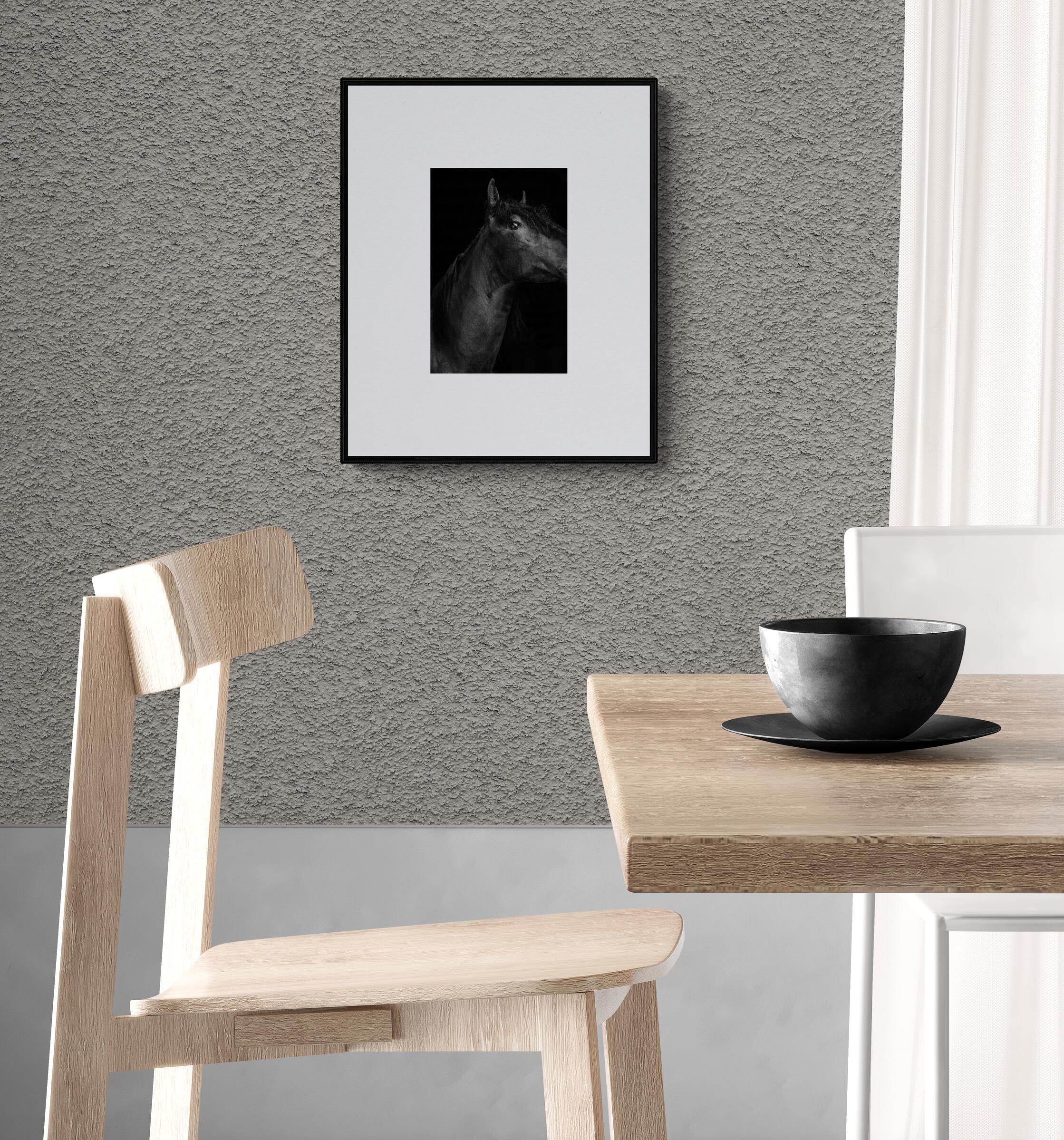 Anna Archinger
Titan (Equestrian Photography, Horse, Portrait, Monochrome)
Archival Pigment Print on Canson® Infinity Platine Fibre Rag
Year: 2025
Image Size: 11.7 x 7.79 in (29.7 x 19.8 cm) - printed with ample margin
Edition: 20
Publisher: Cerbera