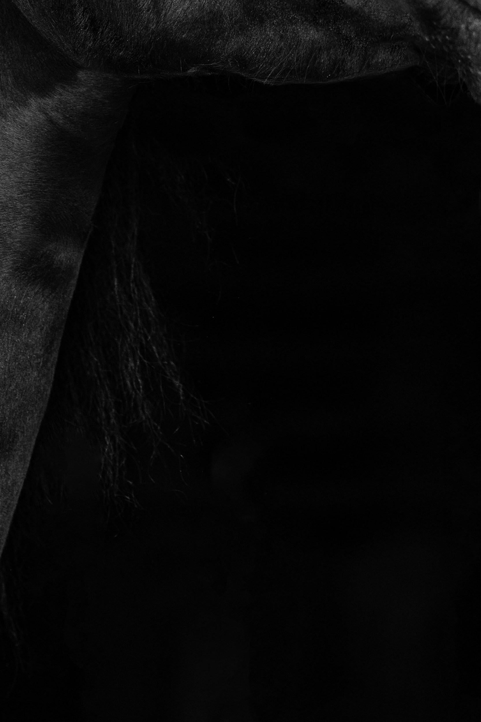 Titan (Equestrian Photography, Horse, Portrait, Monochrome) For Sale 5