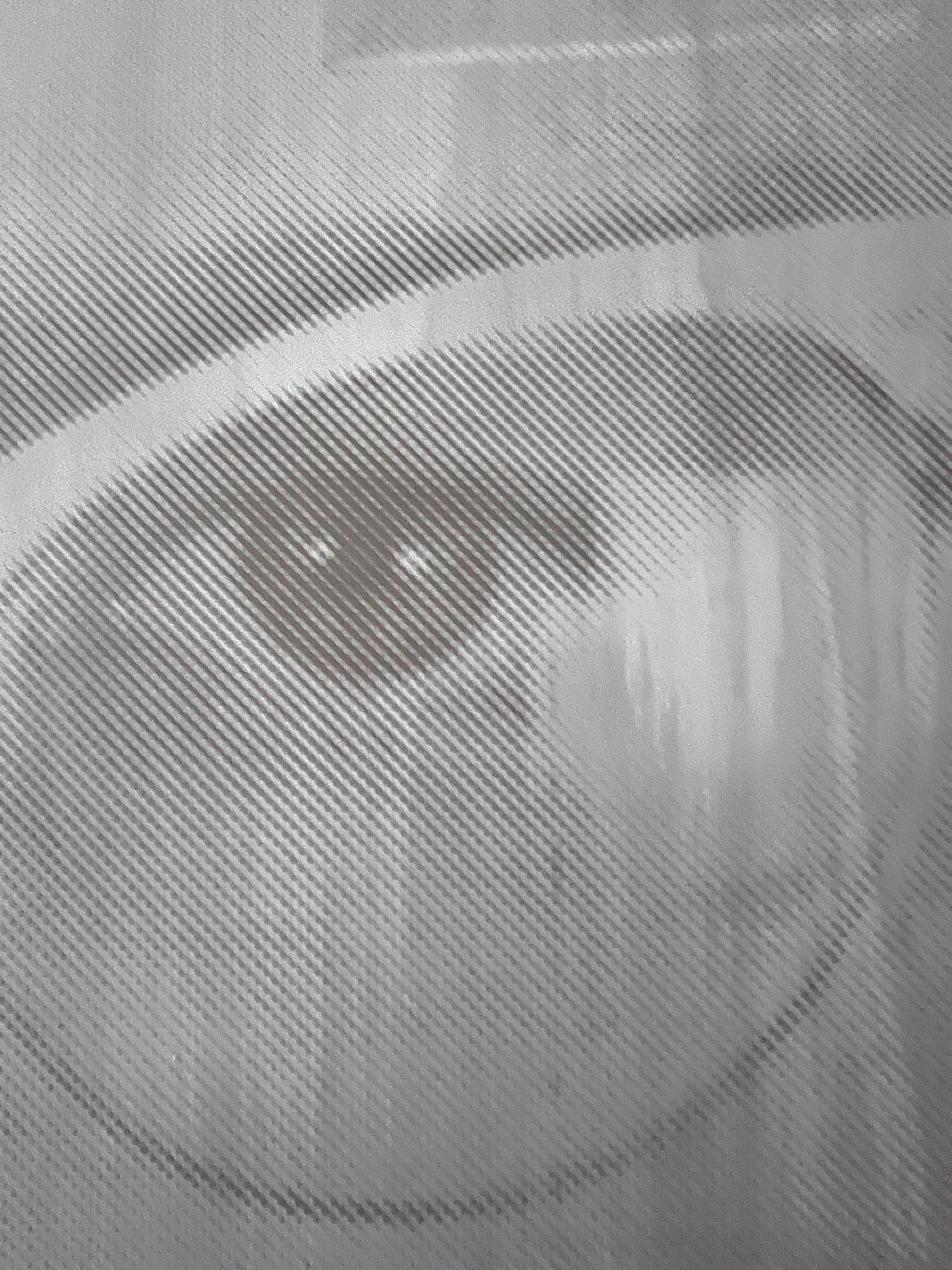 Intagliato a mano Anna Belle, Emulsione e olio, Monumetal 7'x9' Lightbox, Blaine Halvorson, 2008 in vendita
