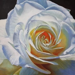 Stillleben-Gemälde GLOWING Realistische Rose
