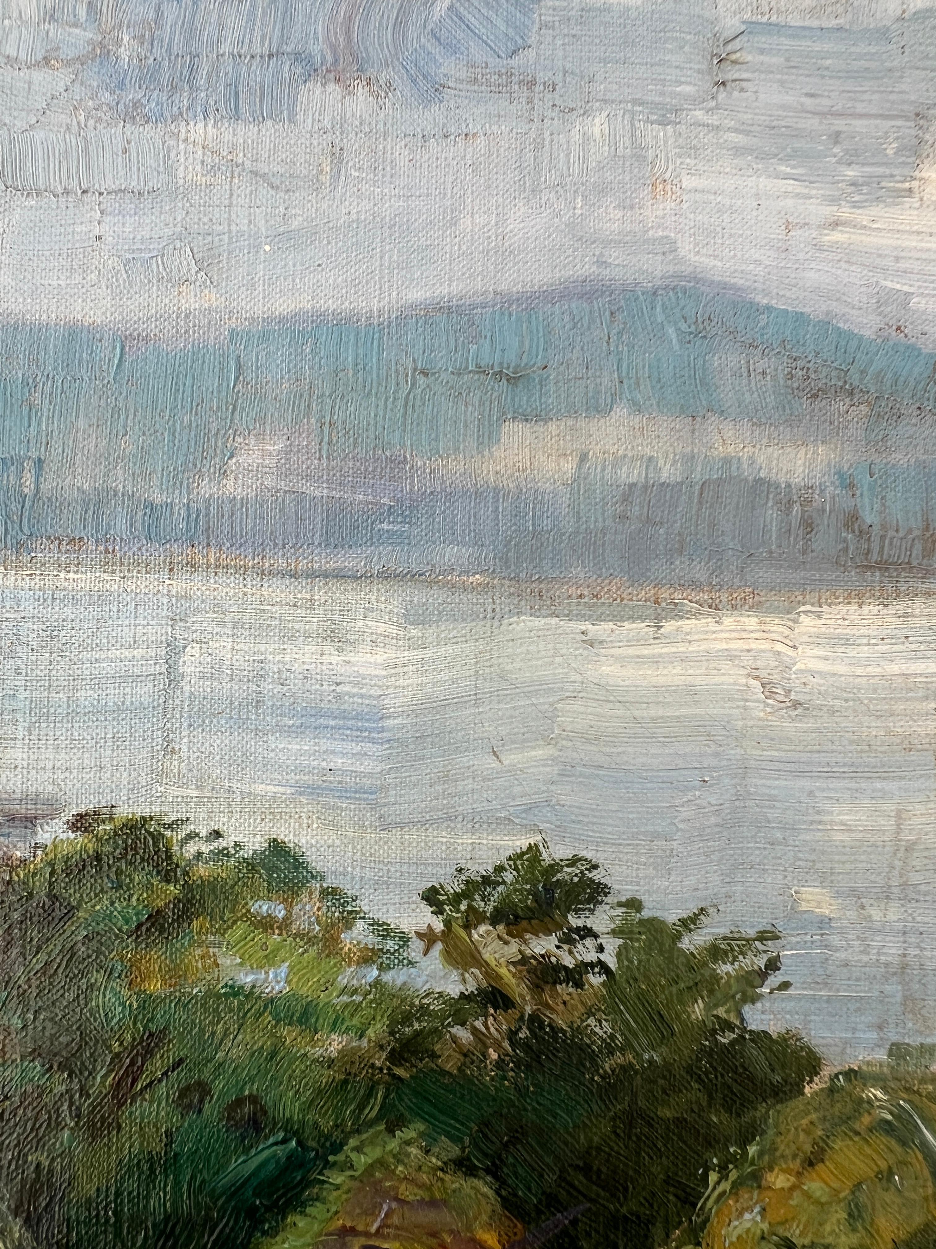 Le lac de Genève avec vue sur le Jura en vente 2