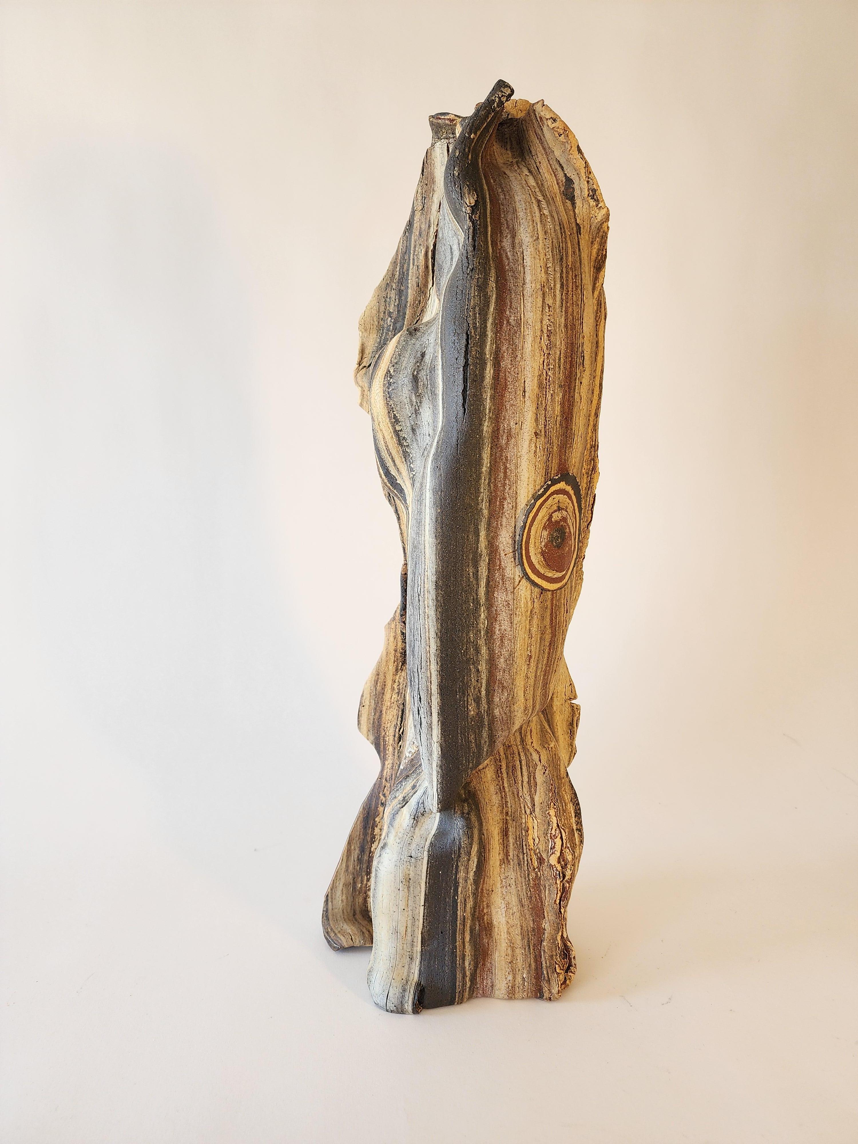 La sculpture en céramique de corps d'argile combinés, les processus uniques développés par Anna Bush Crews, s'appuient sur les qualités inhérentes au matériau, la façon dont il se lisse ou non, la façon dont il s'étire ou se brise dans des actions