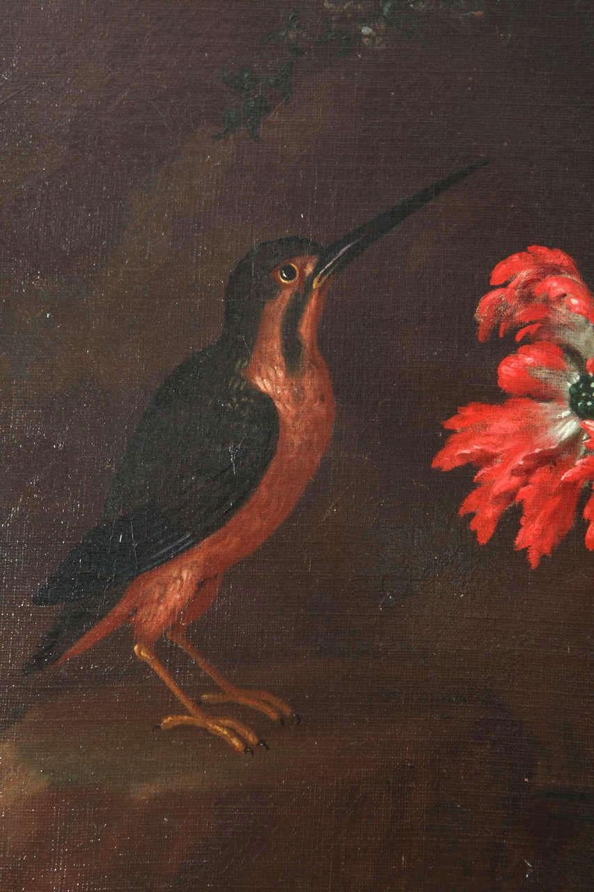 Pair of Exceptional Italian Still Life  Paintings of Flowers  18th century For Sale 9