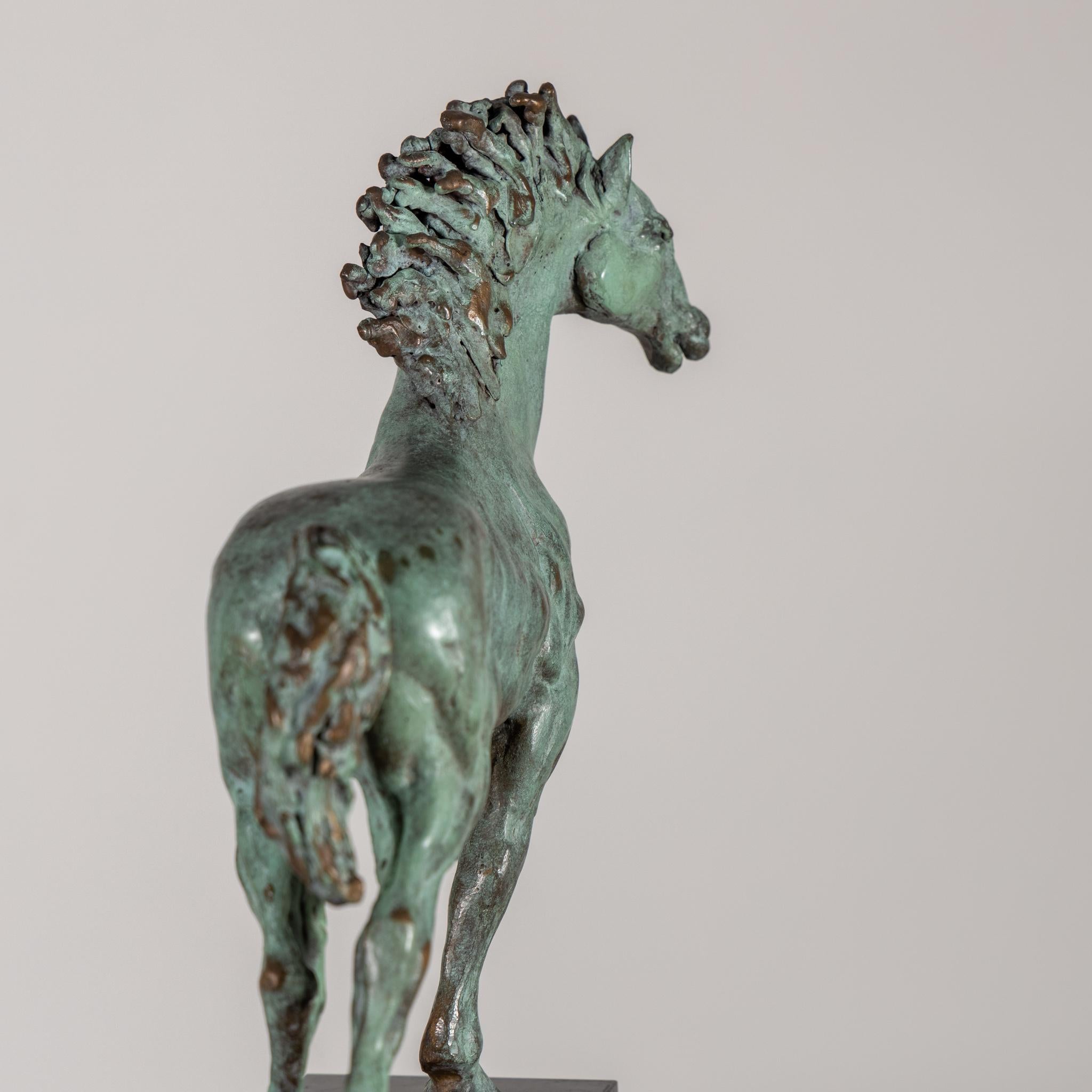 Anna Chromy 'Czech Rep. 1940-2021, Attrib.' Bronze Horse 7
