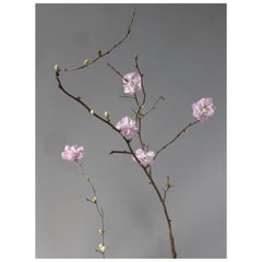 Anna Condo, Blossoms, Stampa a sublimazione su alluminio, Stati Uniti, 2021
