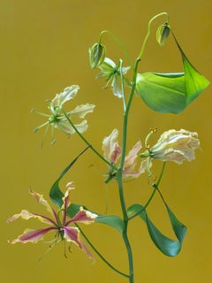 Anna Condo, The Lilly, impression par sublimation sur aluminium, États-Unis, 2021.