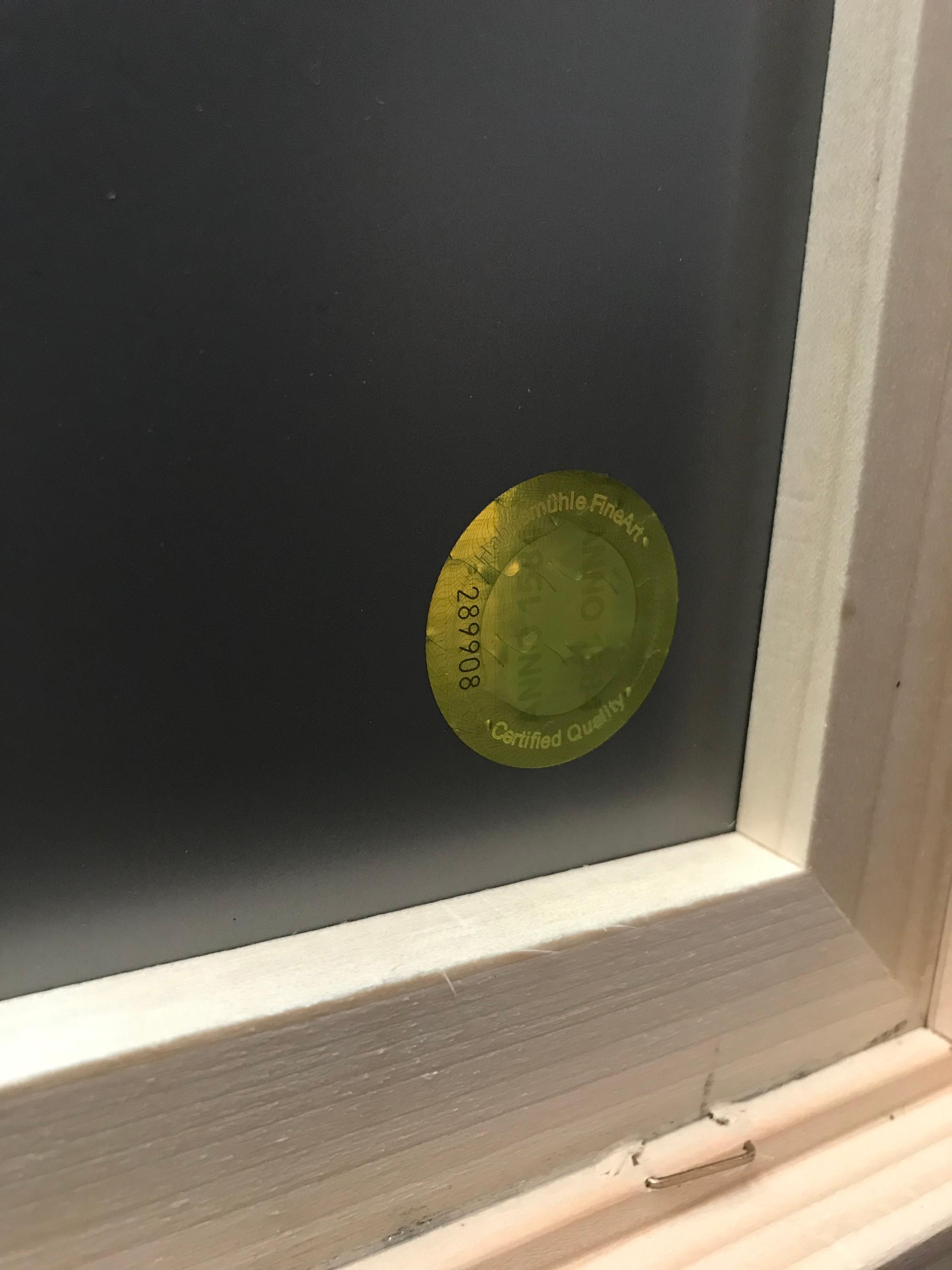 Cette œuvre d'art étonnante fait partie du projet Zero F*cks Given, qui a été présenté à la galerie Photobastei à Zurich, en Suisse, en 2019. Elle est imprimée de manière experte en grand format et encadrée dans un cadre en bois noir fait sur